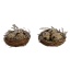 Dekoratsioon Linnupesa 4cm 2tk